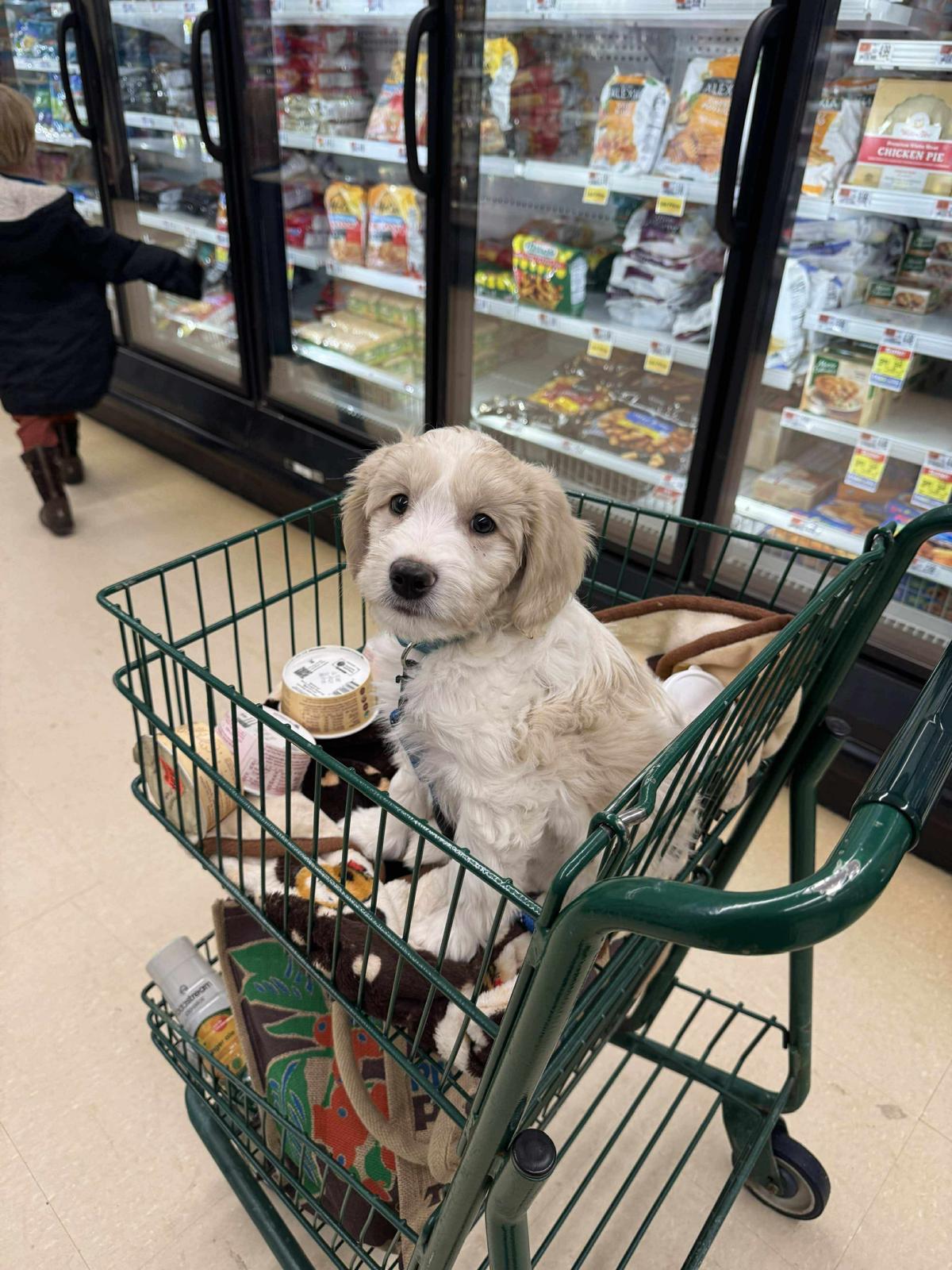 3e466a91-527e-44f1-8196-0753e4452204