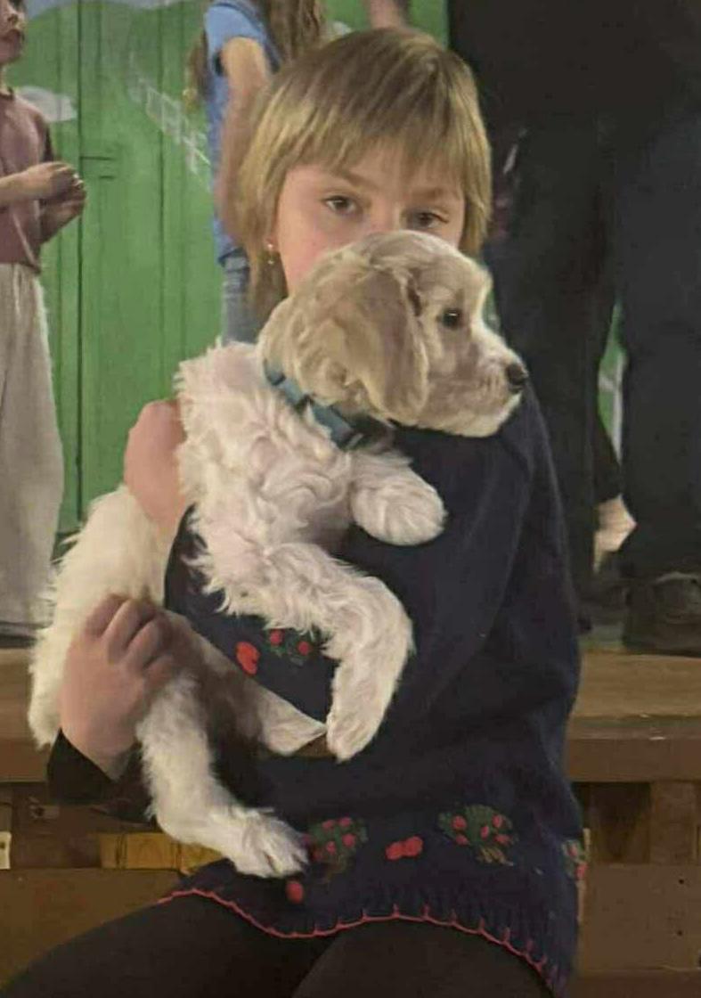 80adabd5-28b9-4872-9066-d11b7e4911df