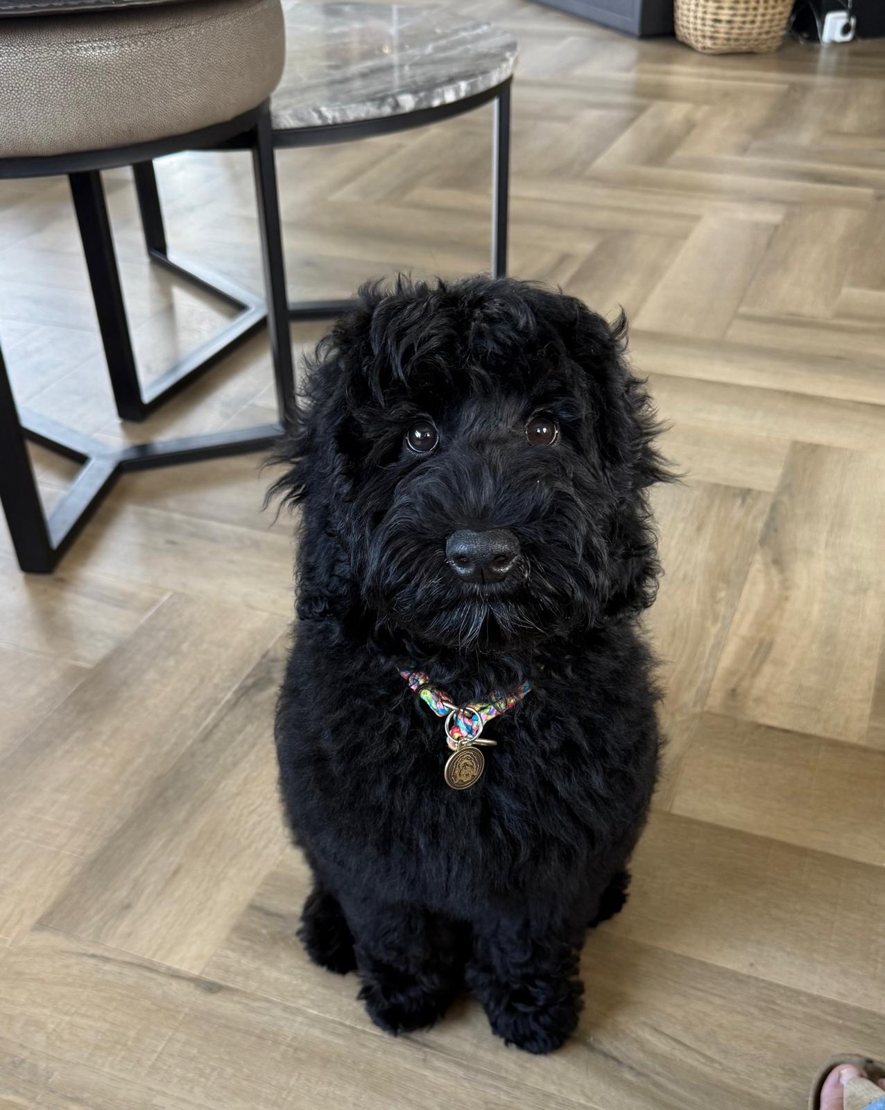 9a9be1a5-3ecf-4720-99c3-7cc5979bac79